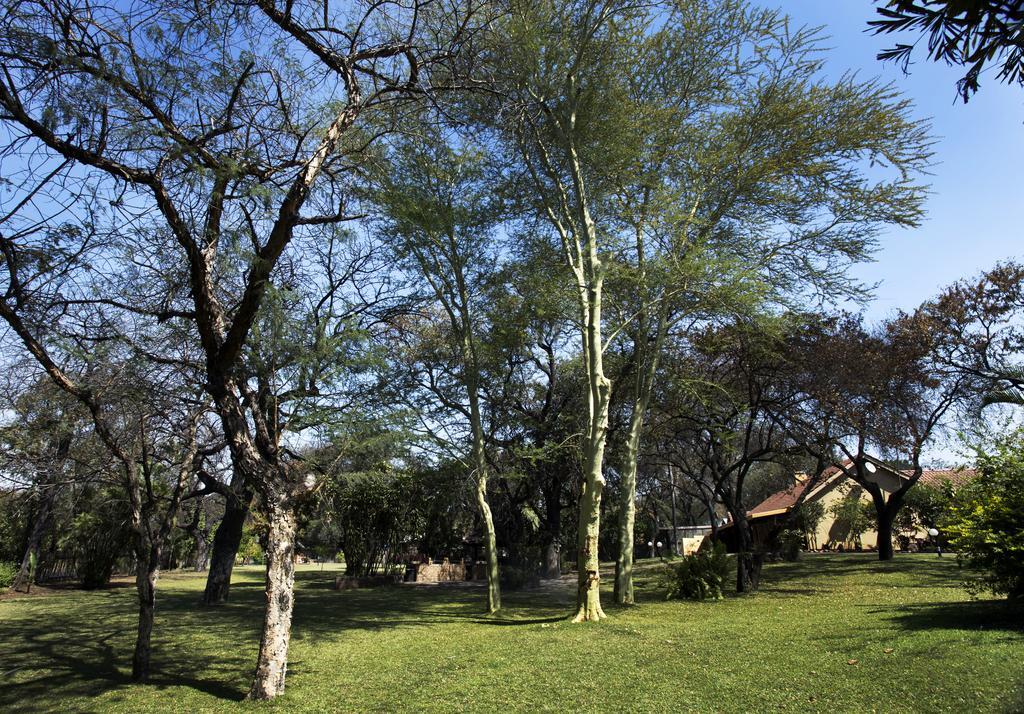 Sunbird Lodge Phalaborwa Esterno foto