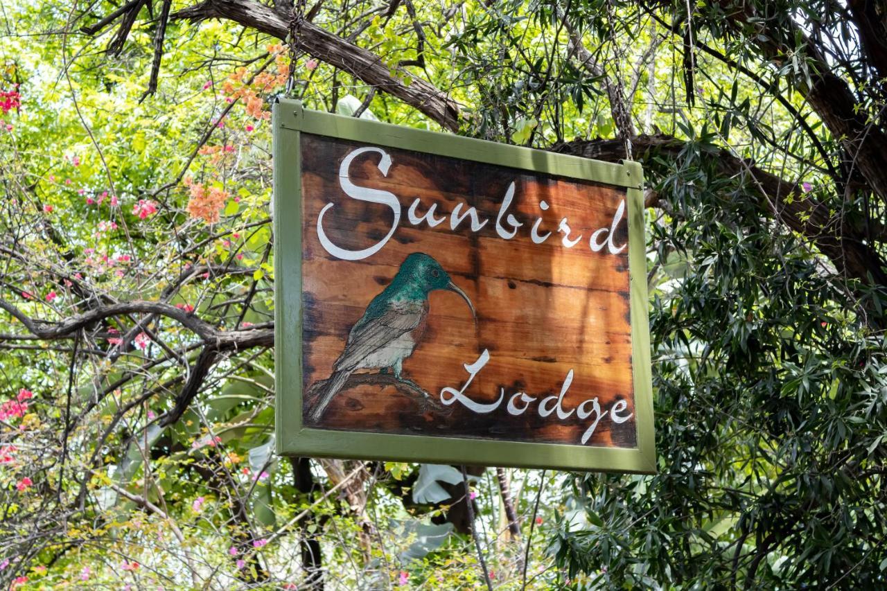 Sunbird Lodge Phalaborwa Esterno foto