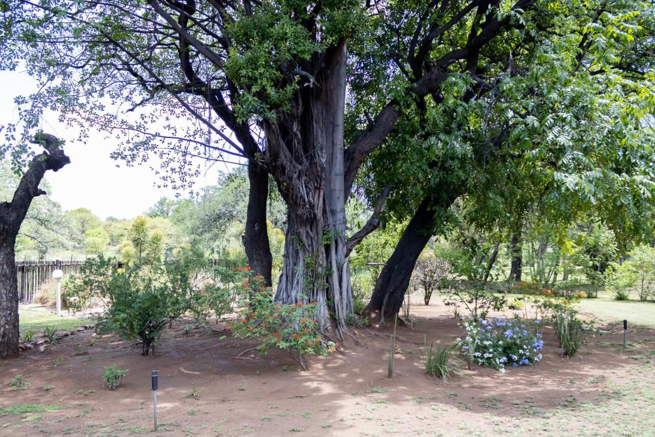 Sunbird Lodge Phalaborwa Esterno foto