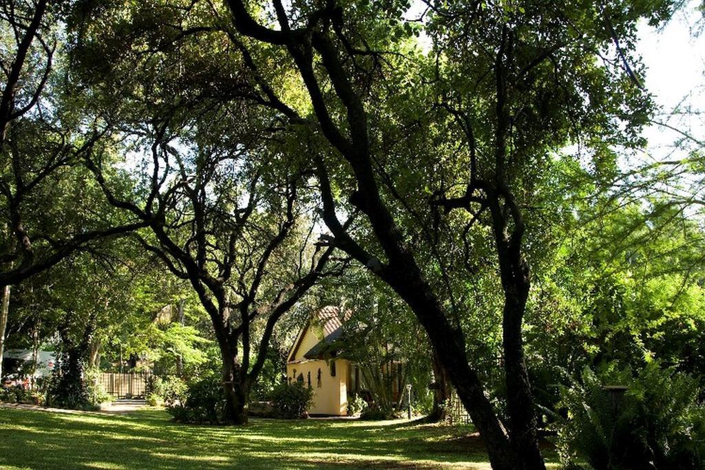 Sunbird Lodge Phalaborwa Esterno foto