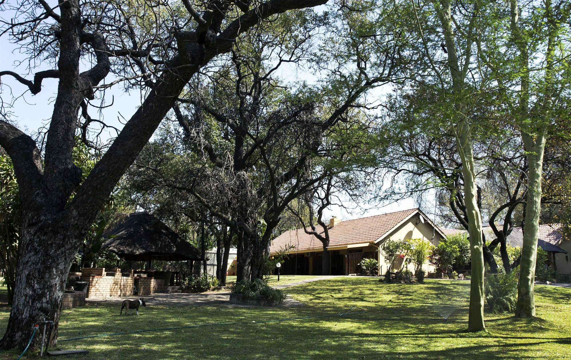 Sunbird Lodge Phalaborwa Esterno foto